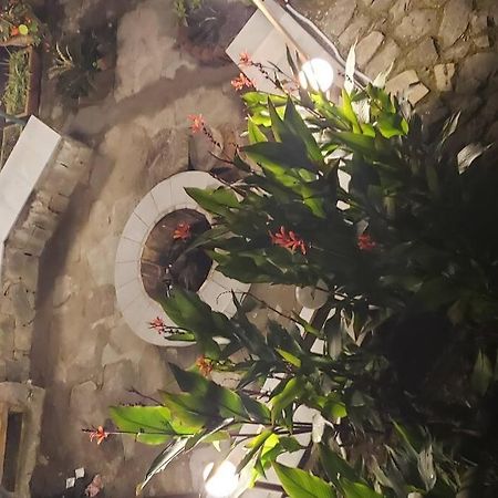 Kasauli Cascade A Cheerfull 4 Bedroom Challet Exterior photo