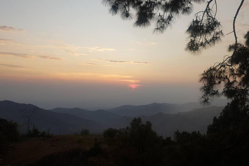 Kasauli Cascade A Cheerfull 4 Bedroom Challet Exterior photo